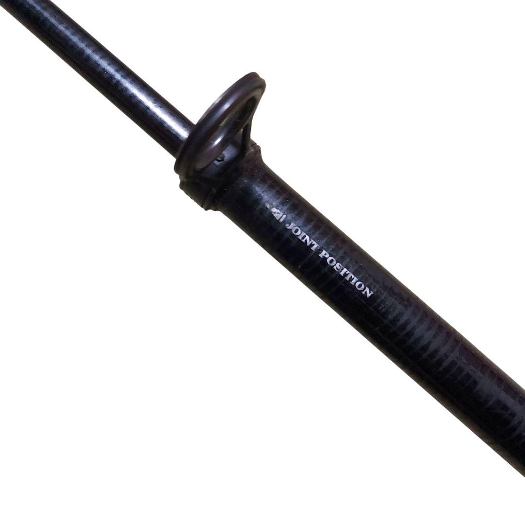 ダイワ ロングビームT 530-HS 浜スペシャル【希少】おもり負荷20～30号