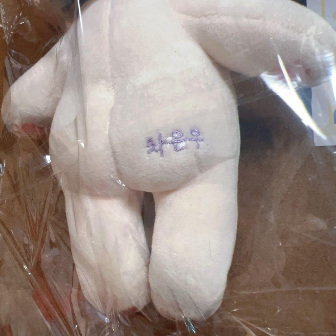 アストロ　Astro チャウヌ　20cm ぬいぐるみ　マスター