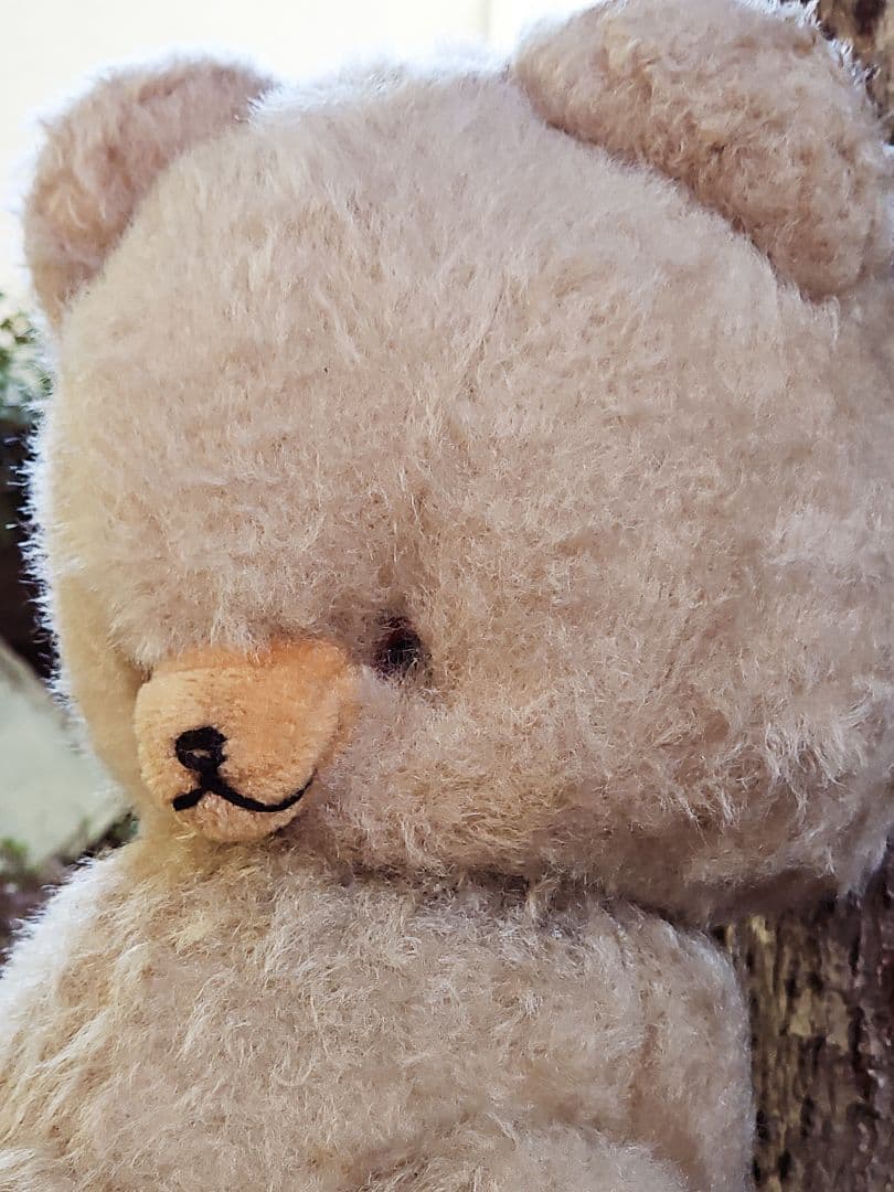 DDRベア ベビーフェイスが可愛い大きな子 ʕ•ᴥ•ʔ