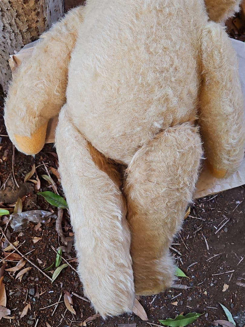 DDRベア ベビーフェイスが可愛い大きな子 ʕ•ᴥ•ʔ