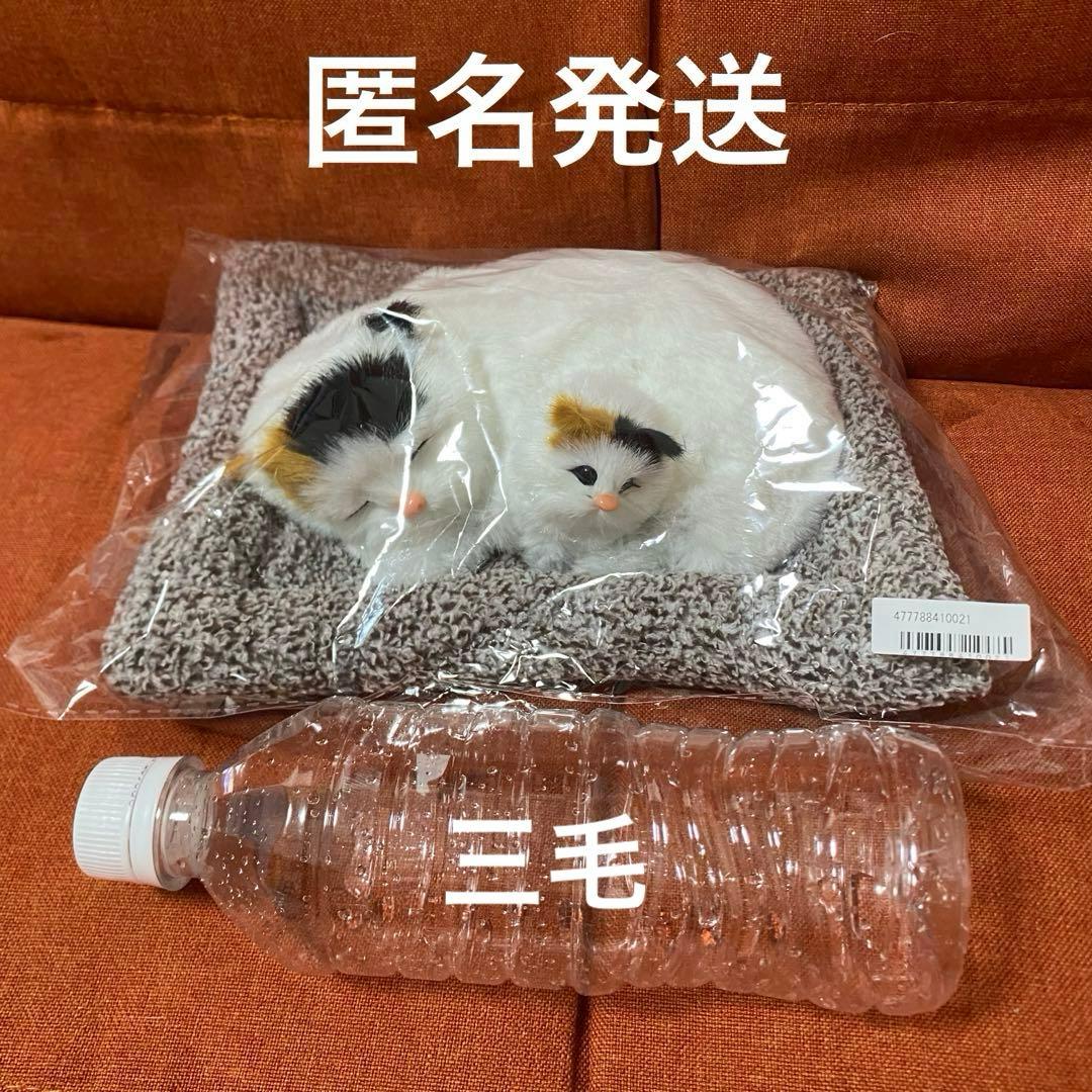 おねむりねこちゃん親子6種アソート 三毛 猫 にゃんこ ぬいぐるみ