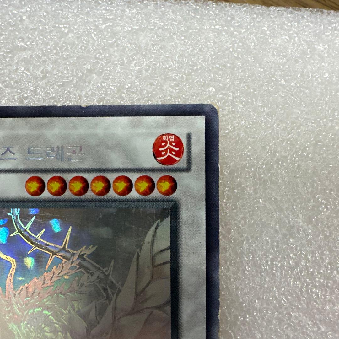 し*せ様 韓国版 ブラック・ローズ・ドラゴン ホログラフィックレア