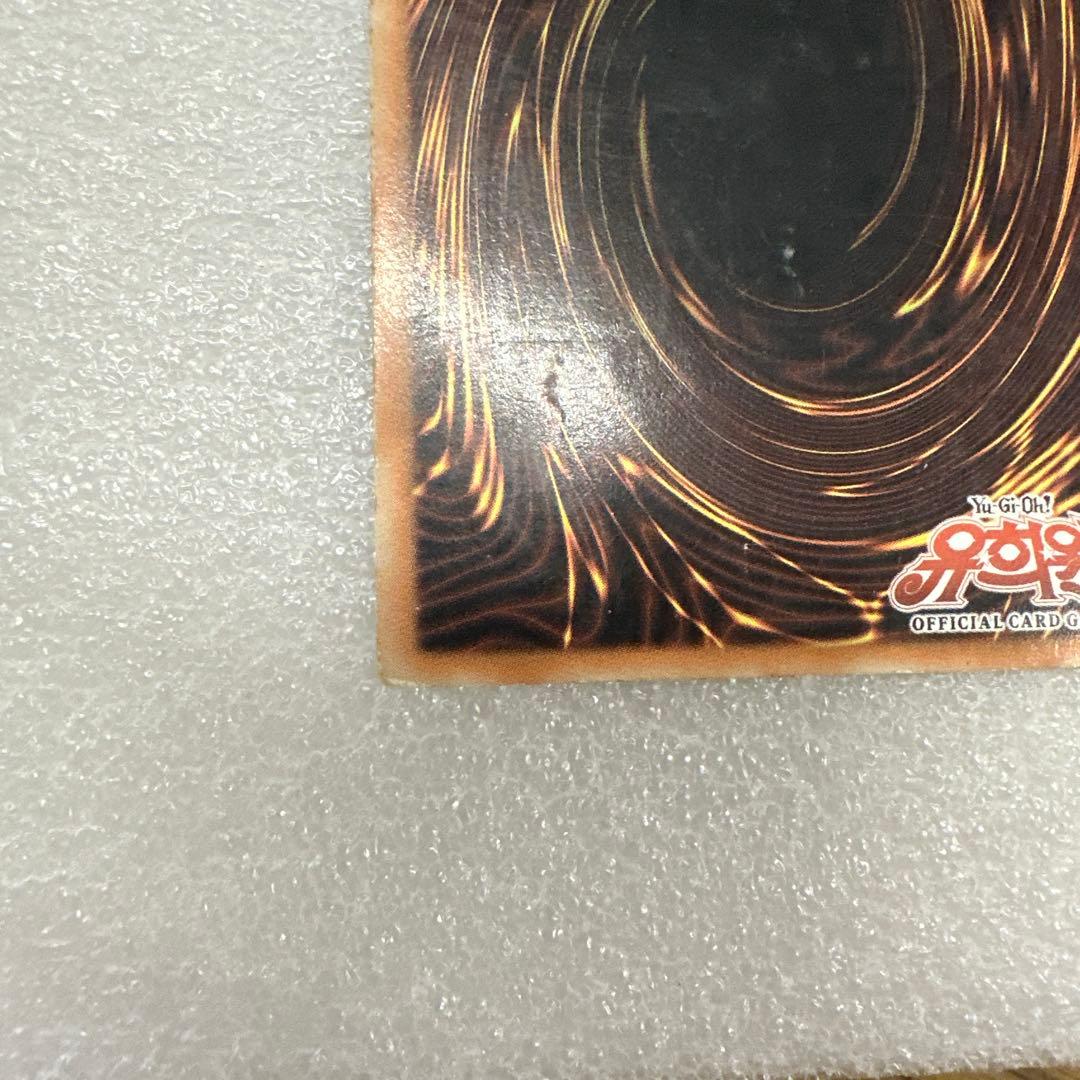 し*せ様 韓国版 ブラック・ローズ・ドラゴン ホログラフィックレア