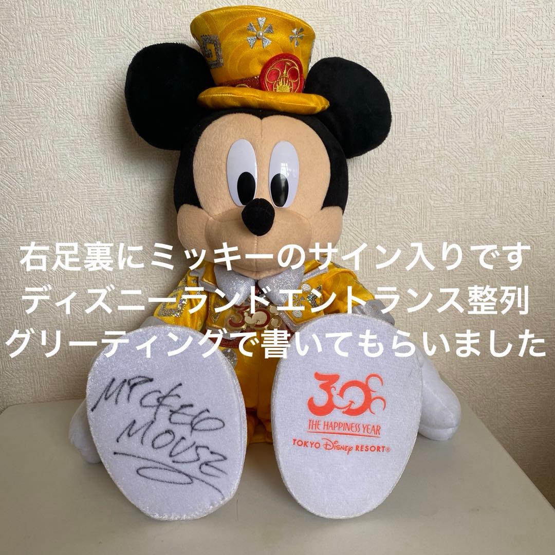ディズニーリゾート 40周年 ぬいぐるみ ミッキー 70cm 巨大 限定 レア