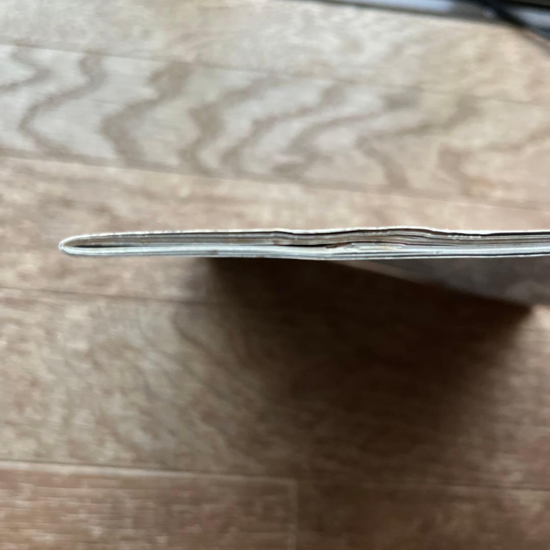 たま ツアー パンフレット たまの方向音痴 チラシ付き 知久寿焼 柳原 イカ天