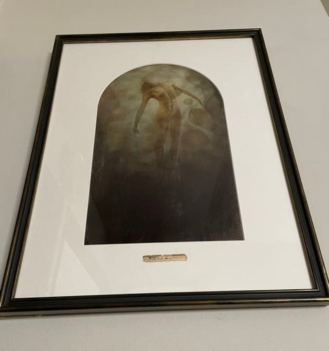 藤浪理恵子 「イカロスの末裔」額装