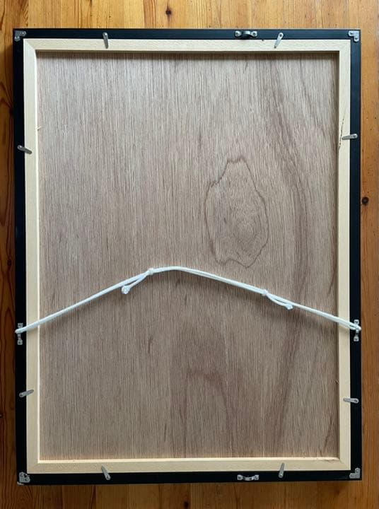 藤浪理恵子 「イカロスの末裔」額装