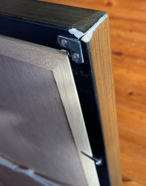 藤浪理恵子 「イカロスの末裔」額装