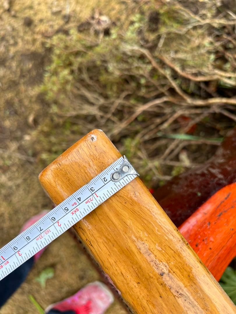 紅紫檀 一枚板 総無垢 座卓 座敷机 リビングテーブル ローテーブル