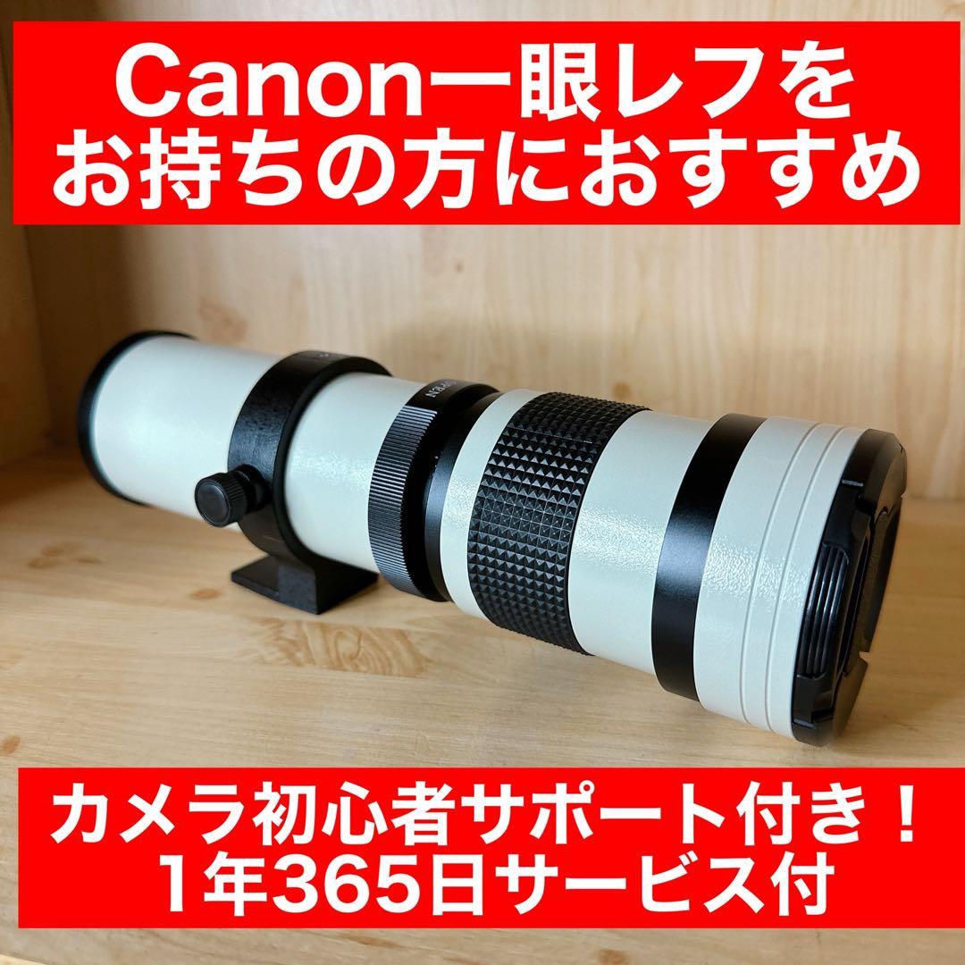 人気機種】Canon Kiss X7 初心者おすすめレンズセット116
