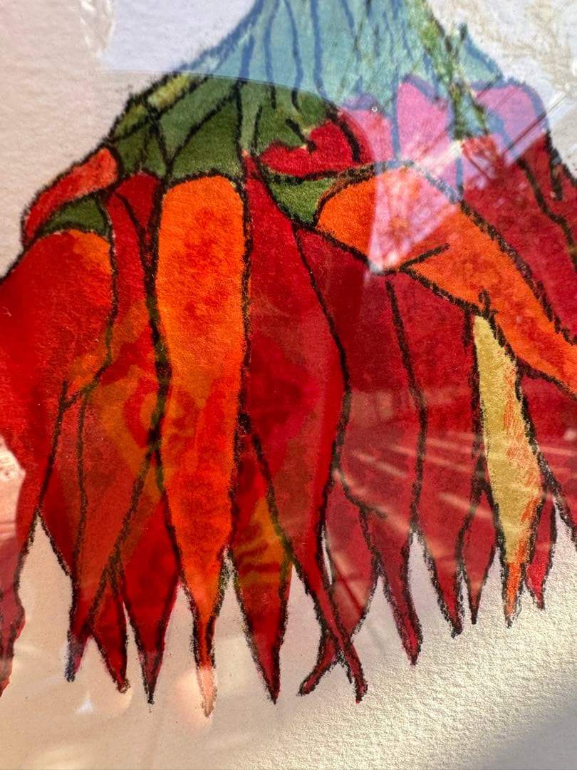 青木義照 唐辛子