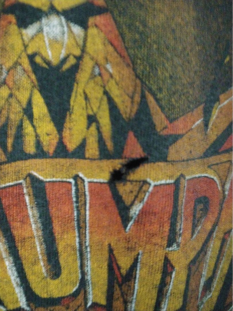 82年製·ビンテージ!TRITMPH “TRITMPH ON TOUR”黒　S