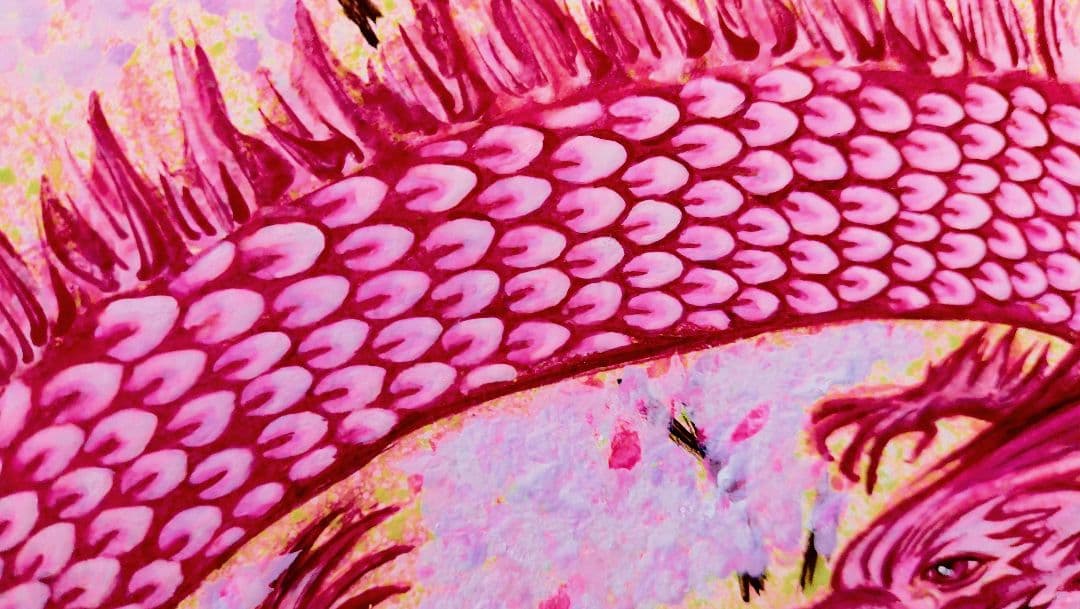 【桜龍】私の作品 一点物 原画販売