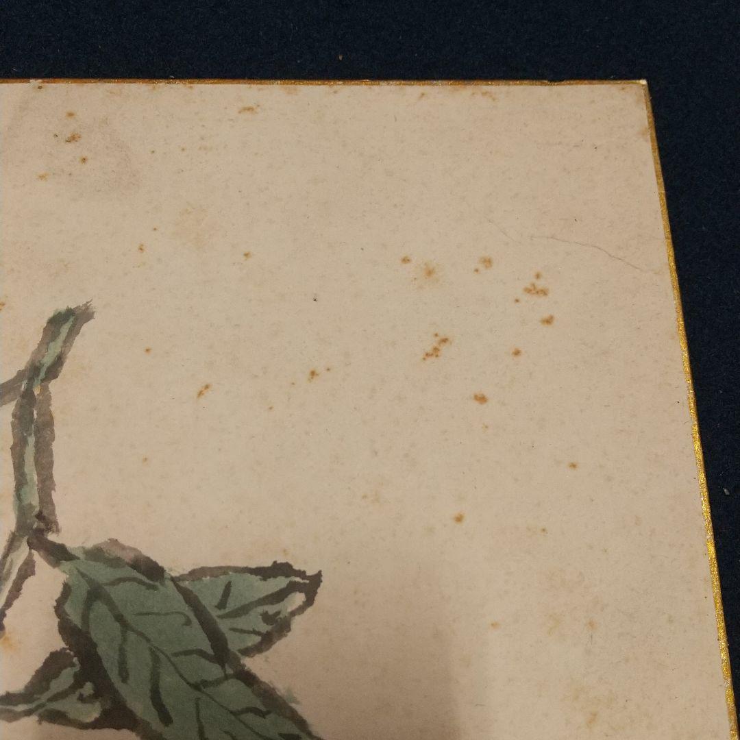 小説家画家 武者小路実篤 肉筆色紙 柚子？