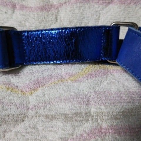 期間限定　Mr.Children　桜井和寿着用　ベルト　美品