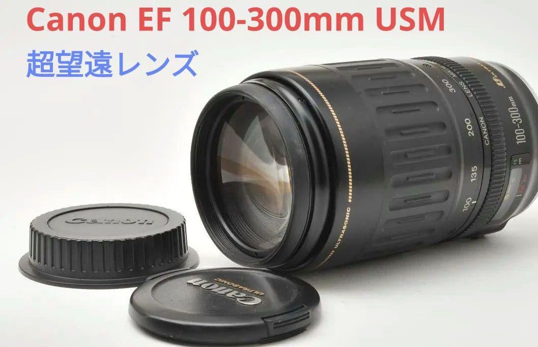 7月17日限定価格♪Canon EF 100-300mm USM 7月17日限定価格♪Canon EF 100-300mm USM 7月17日限定価格♪Canon EF