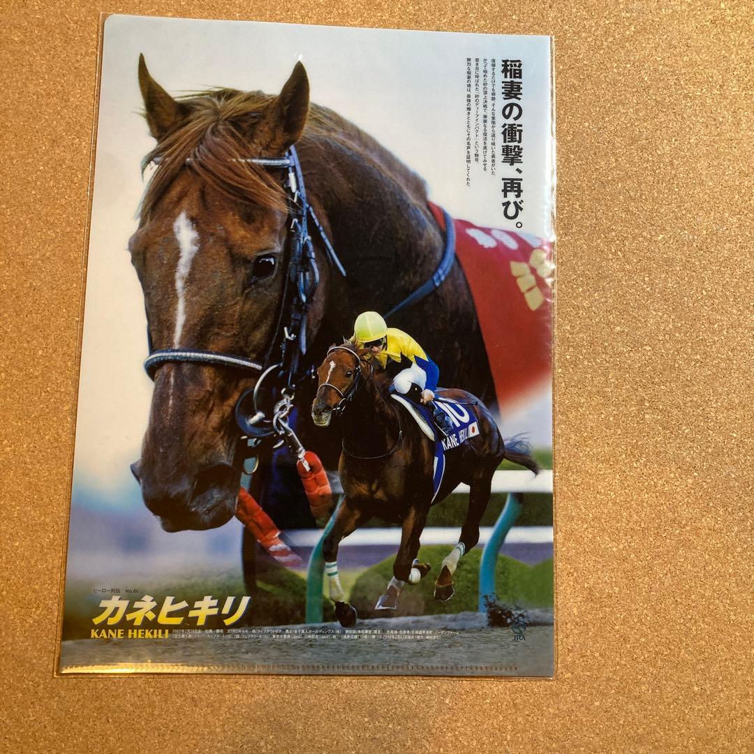 カネヒキリ ヒーロー列伝 クリアファイル 未開封 非売品 JRA - メルカリ