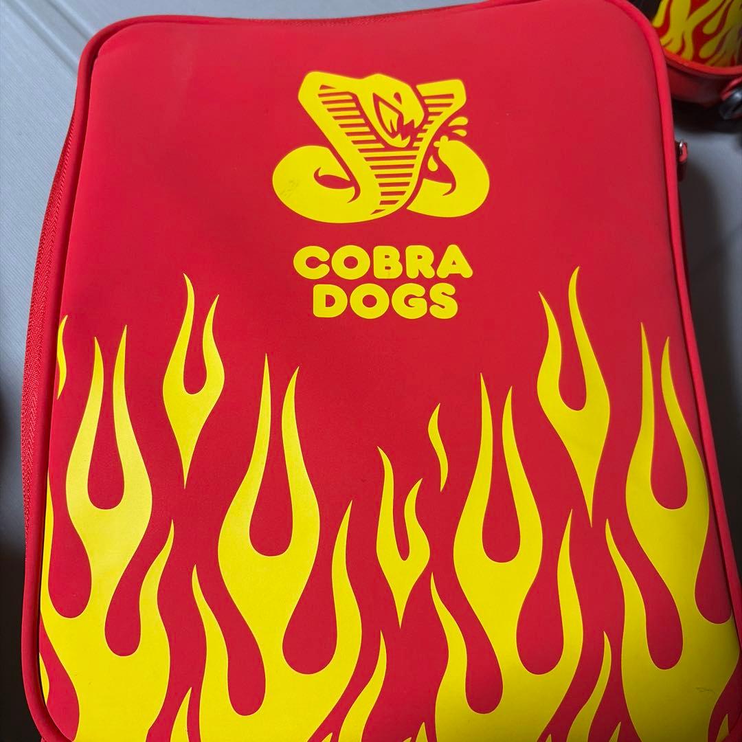 COBRA DOGスノーボード ビンディング ユニオンSTRATA 様専用 - メルカリ