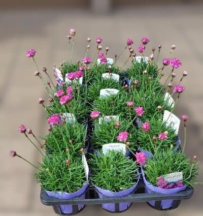 S様 リクエスト 2点 まとめ商品 - メルカリ