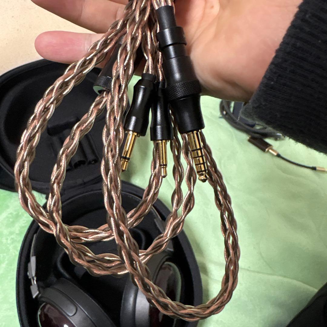 Fiio FT13 eイヤホンの保証書 領収書付き - メルカリ