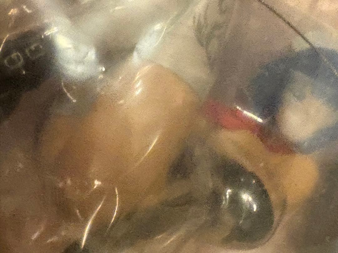 未開封 呂蒙子明Ryomou Shimei DDフィギュア 2種セット