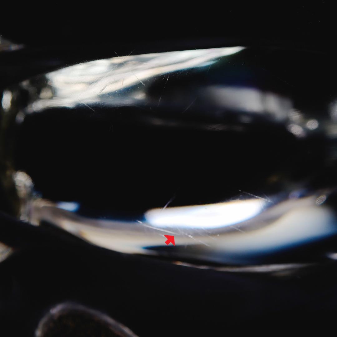 Murano Glass Pino Signoretto パンサー 4.5kg