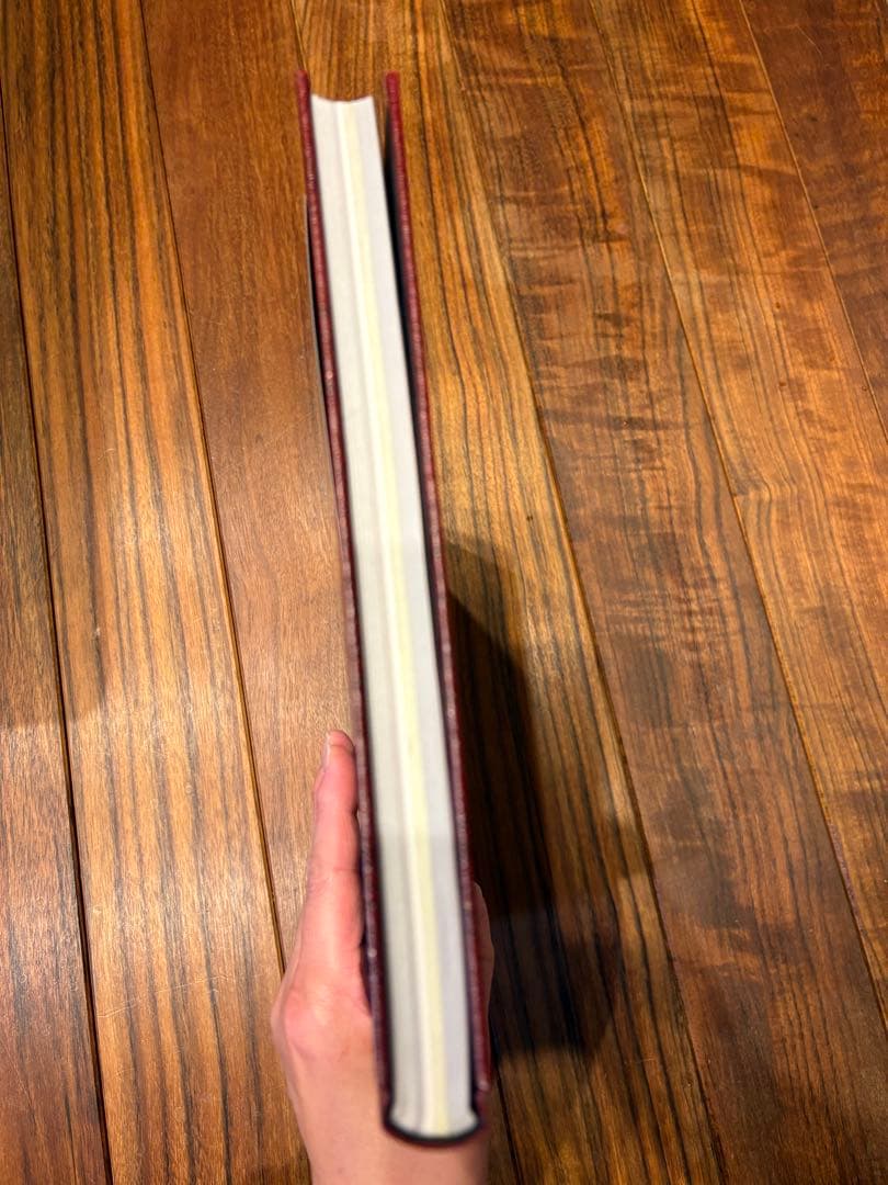 【希少】BUCK-TICK TOUR 2009 memento mori PIX