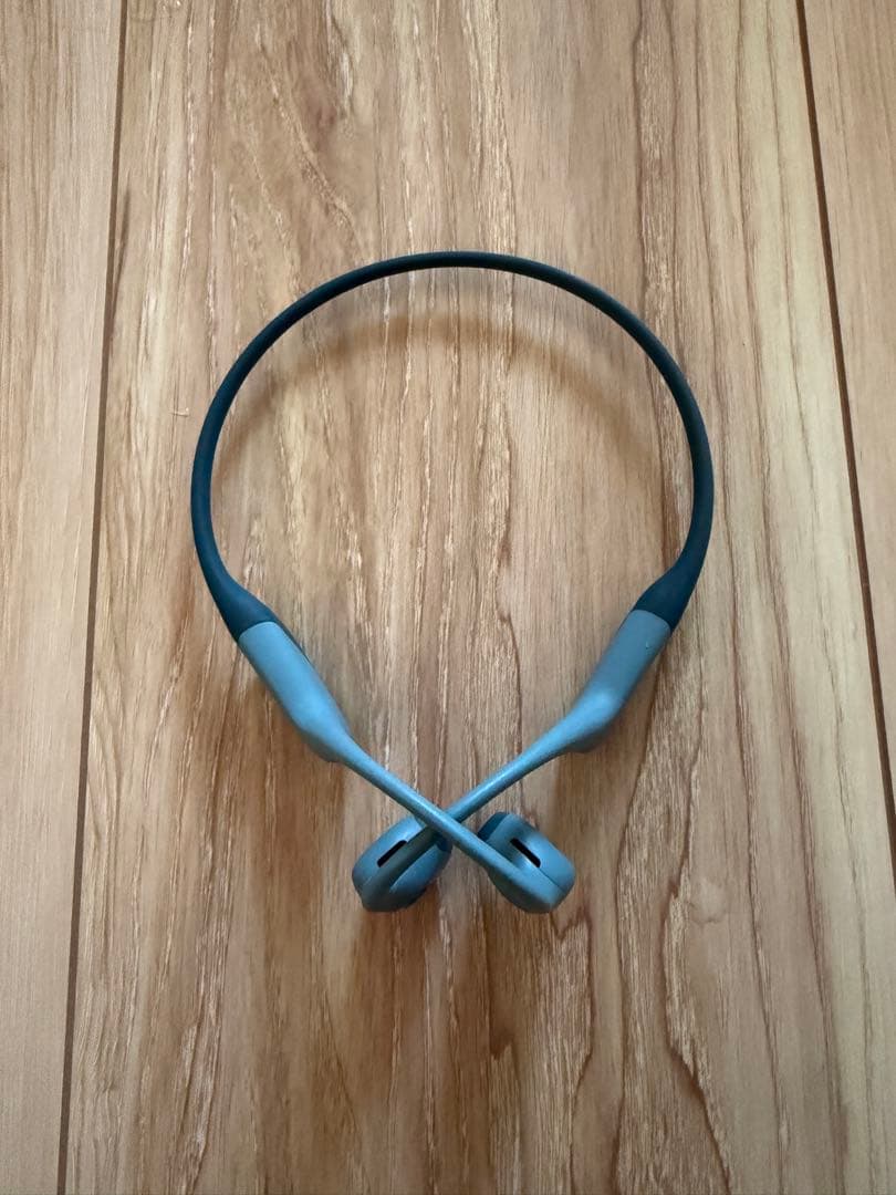 SHOKZ 骨伝導イヤホン OPENRUN PRO BLUE OPENRUN PRO ブルー 骨伝導イヤホン -の商品詳細 | 蔦屋書店オンライン