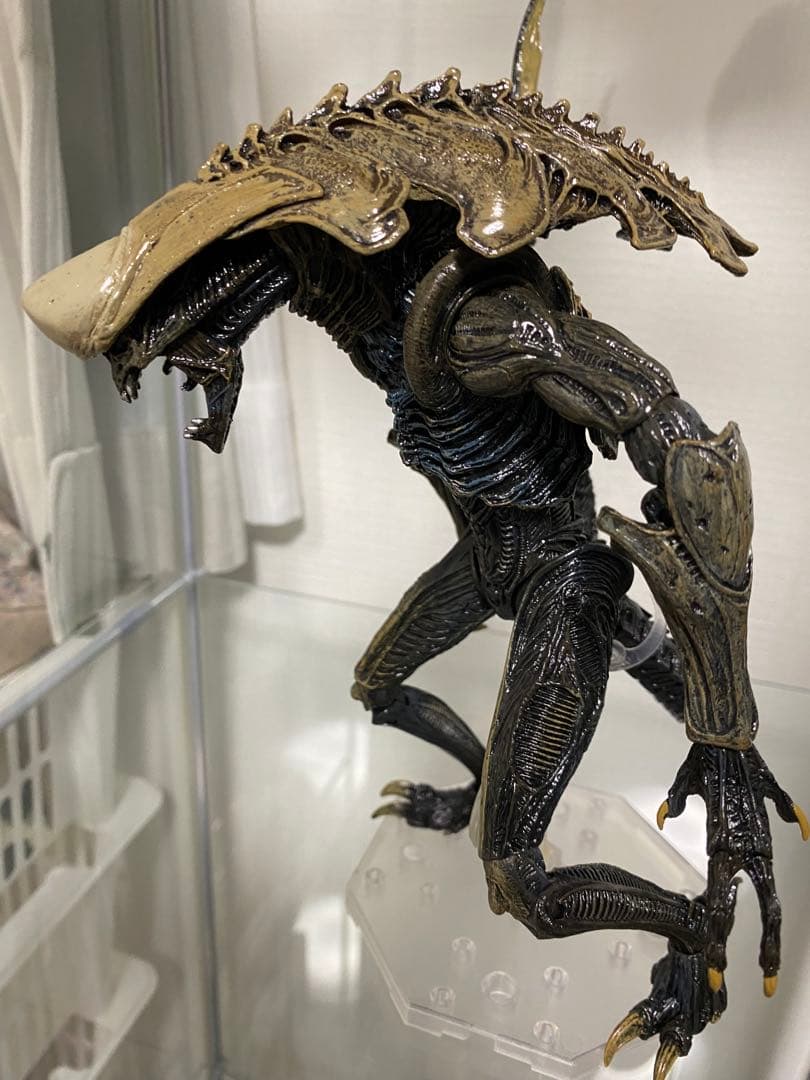 NECA ネカ クリサリス エイリアン AVP プレデター