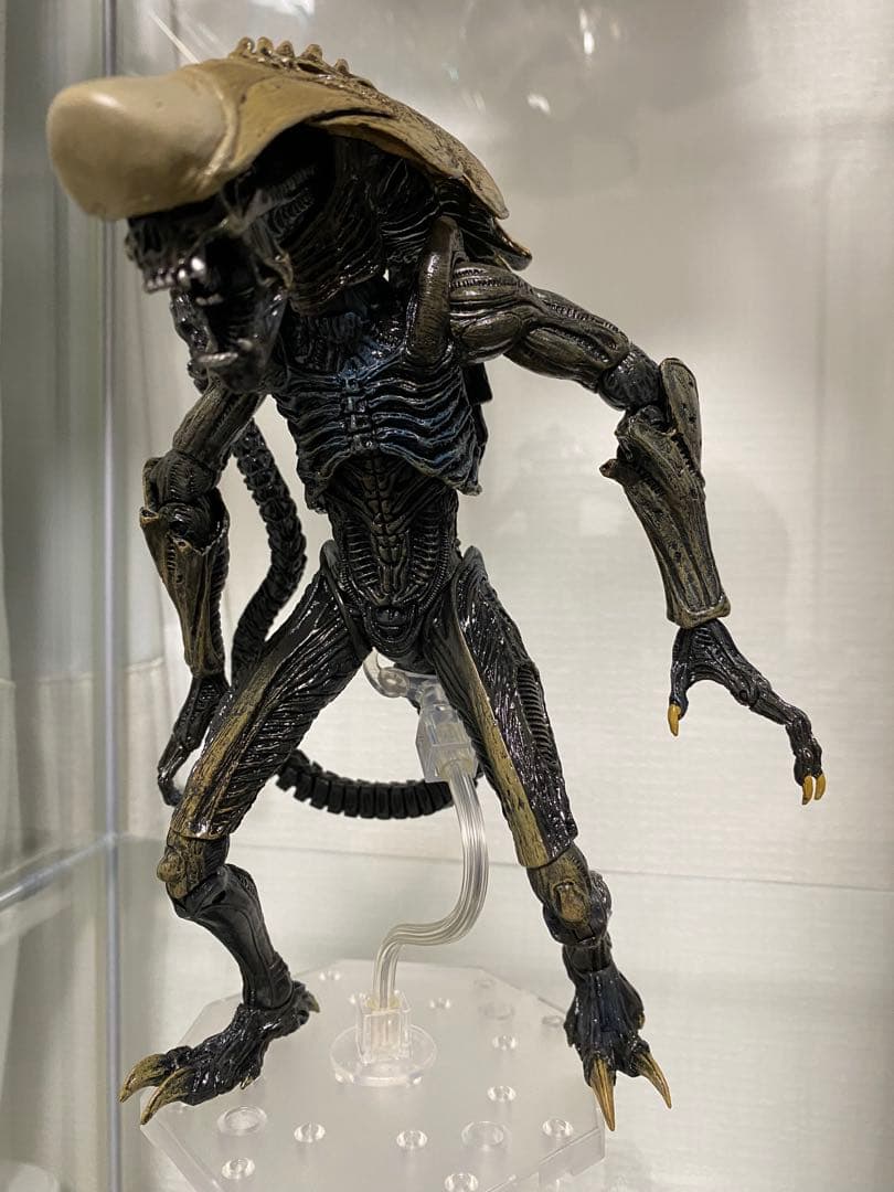 NECA ネカ クリサリス エイリアン AVP プレデター