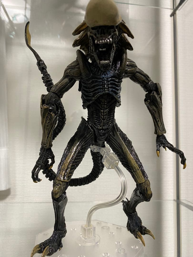 NECA ネカ クリサリス エイリアン AVP プレデター