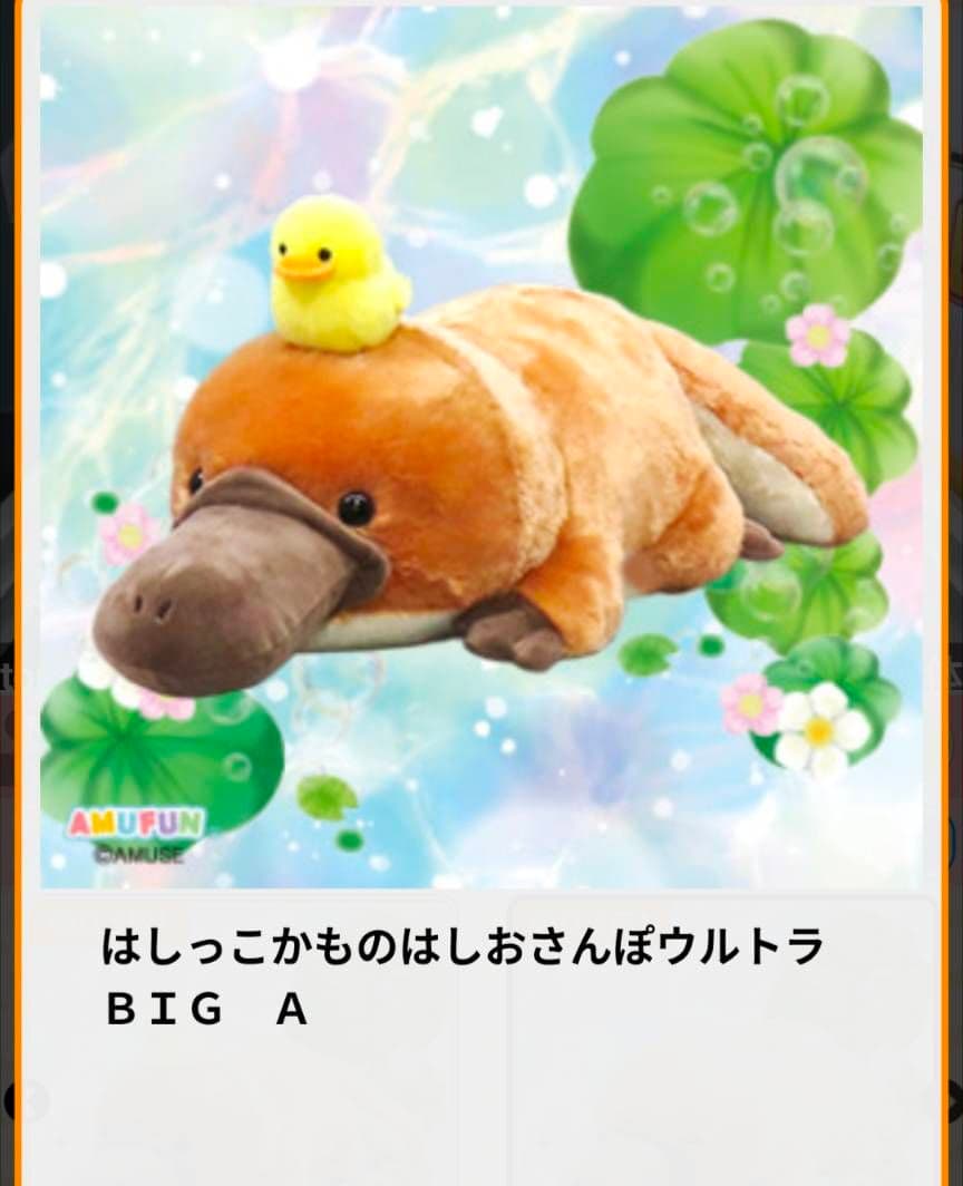 限定特価！新品【はしっこかものはしおさんぽ】ウルトラBIGぬいぐるみ(★全3種)