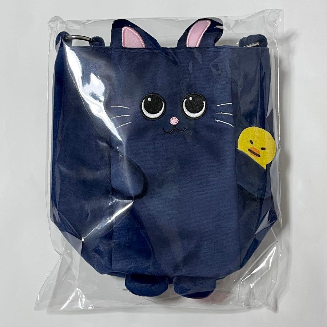 RIIZE ウォンビン FANLIGHTバッグ 6000円 購入特典トレカ - メルカリ