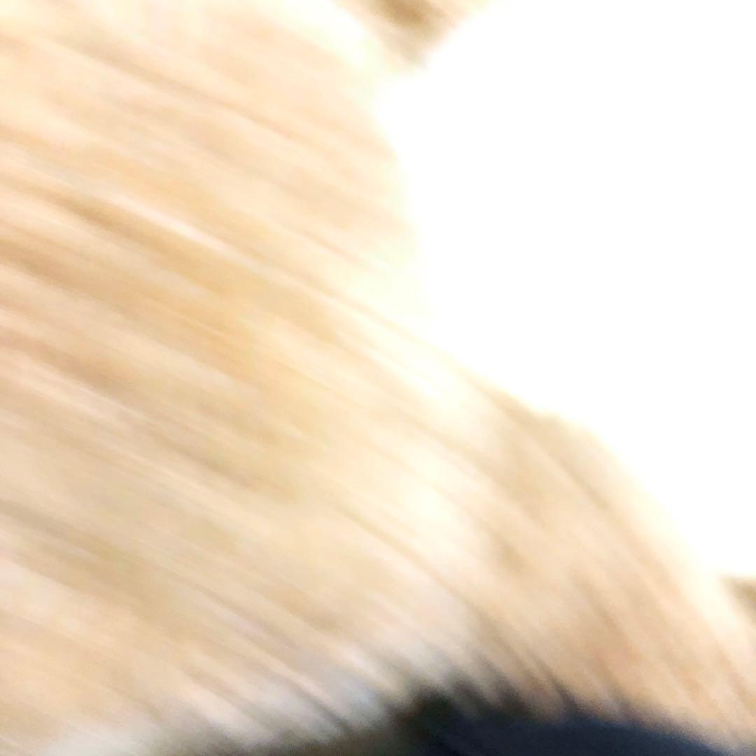 ディズニーシー　duffy 値引きok