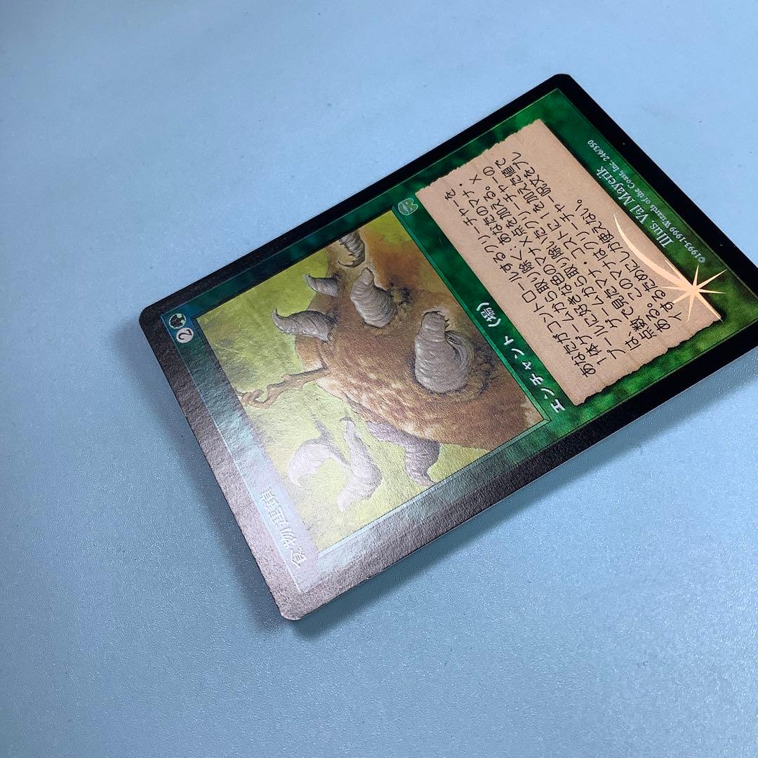 食物連鎖/Food Chain MMQ日本語foil