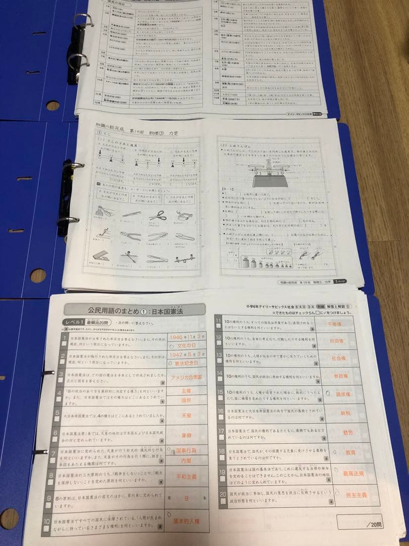 サピックス　知識の総完成 sapix 6年 理科 ウィークリーサピックス 知識の総完成 記述の総復習
