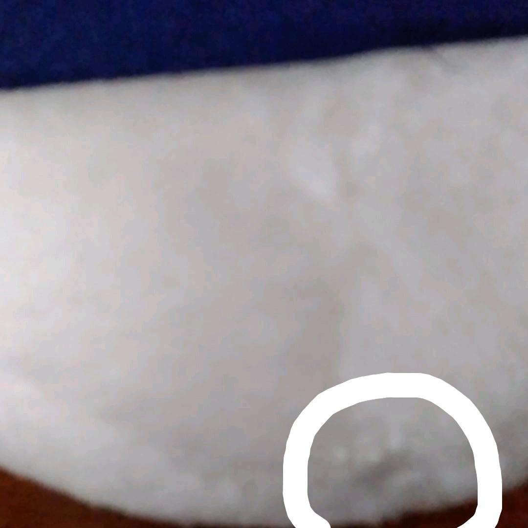 昭和レトロ　ぬいぐるみ　ヴィンテージ　希少価値高い　キティ……？ぽい　マスコット