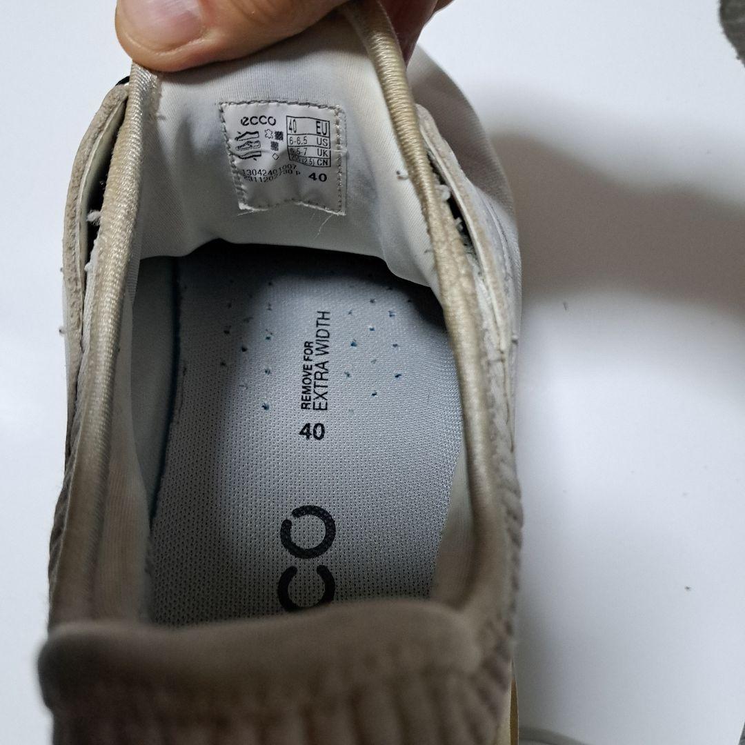 ecco ゴルフシューズ ダイヤル式 25.5cm
