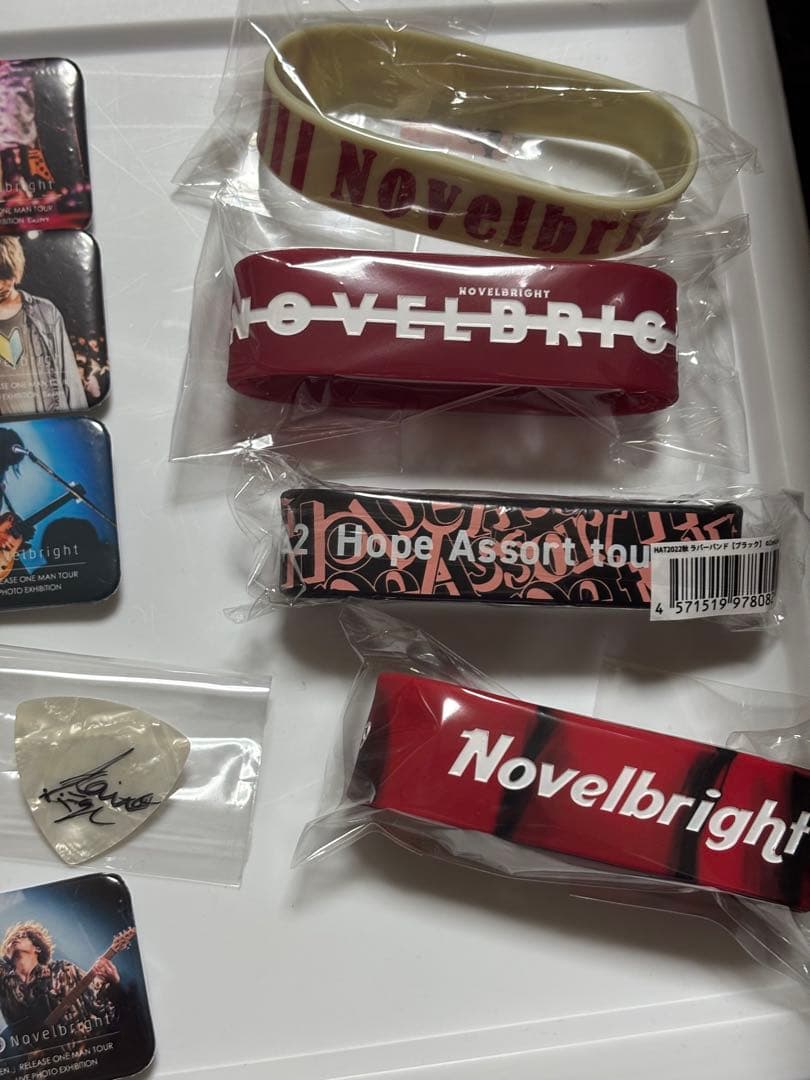 Novelbright サイン入りピック 缶バッジ グッズ 圭吾 海斗 ねぎ 聡