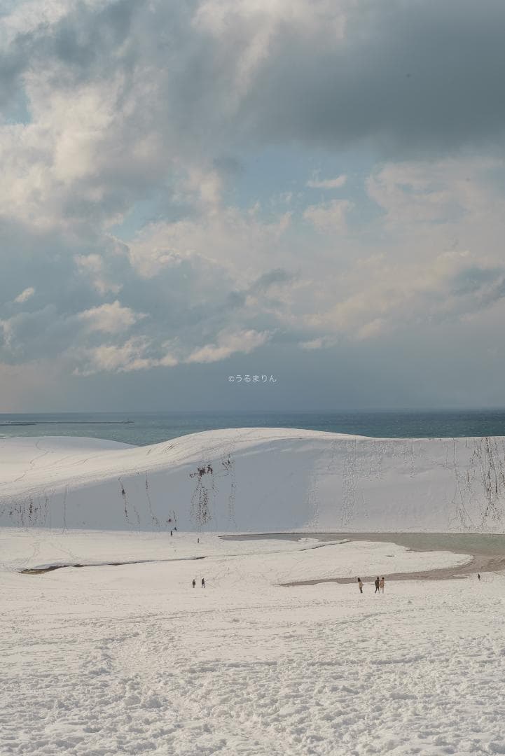 yu様 黄変なし光学美品！PENTAX Super-Takumar 55mm - メルカリ