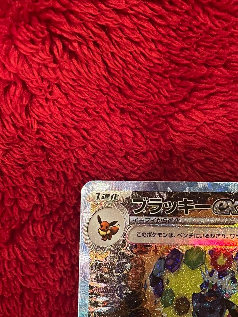 専用再出品　テラスタルフェスex ゴットパック　ブイズ9枚セット