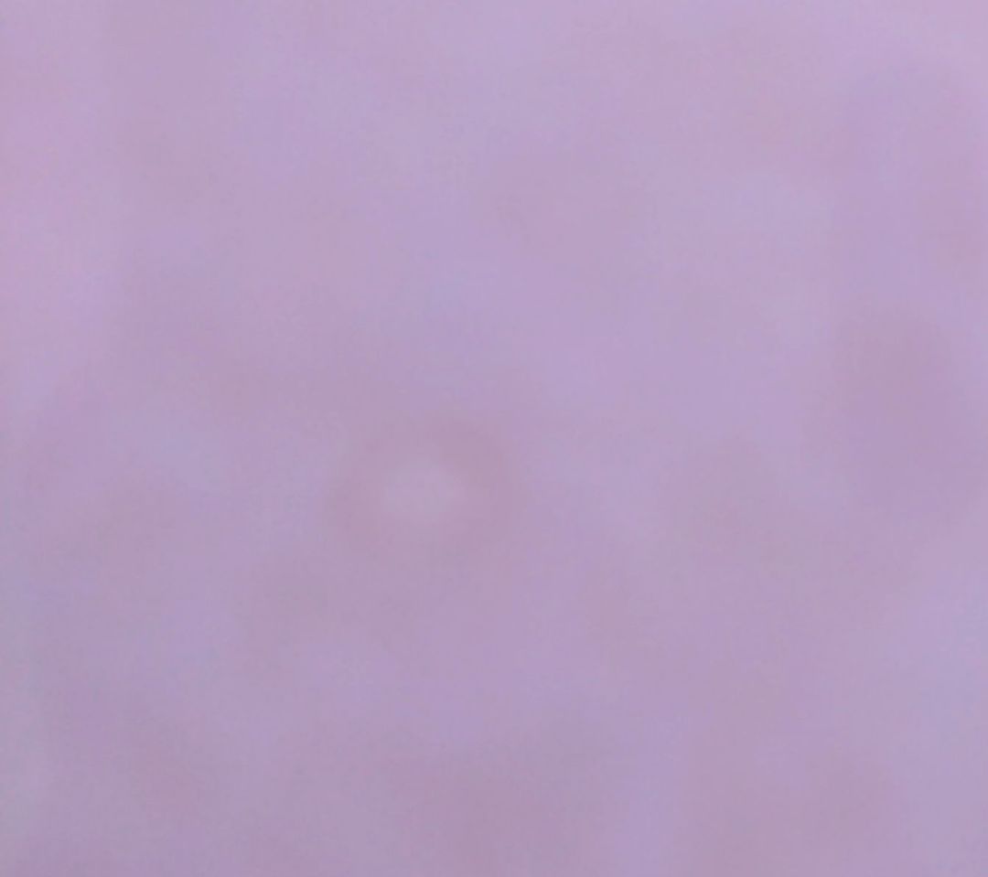 南野陽子 ジグソーパズル 500ピース 未開封・未使用 - メルカリ