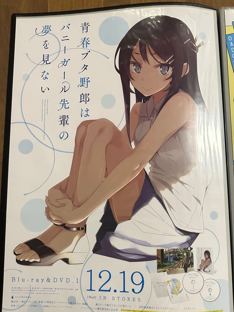 青春ブタ野郎はバニーガール先輩の夢を見ない　販促ポスター　B2 青春ブタ野郎はバニーガール先輩の夢を見ない (TV Series 2018-2025