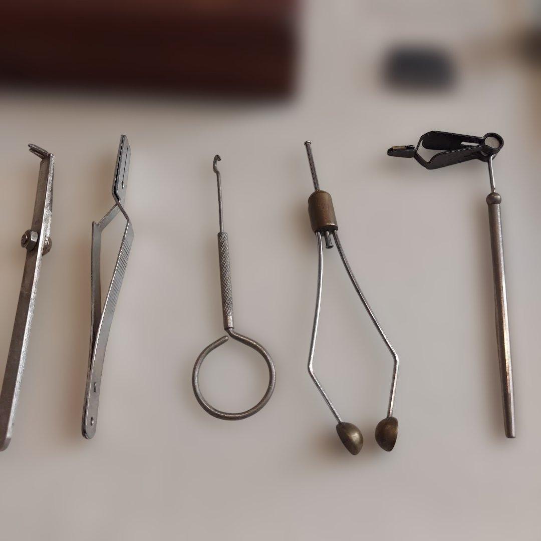 レンゼッティ プレゼンテーションバイス - メルカリ