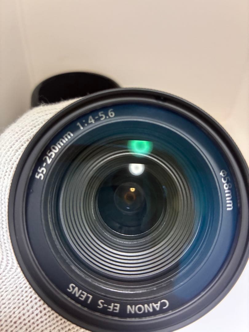 美品Canon EF-S 55-250mm f/4-5.6 フィルター・フード付