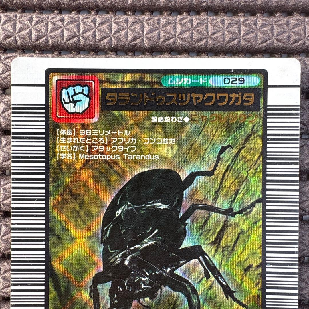 希少 タランドゥスツヤクワガタ 2004セカンド 金レア ムシキング