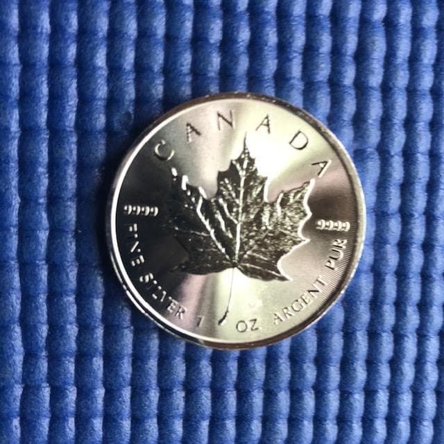2015年 メープルリーフ銀貨 31.1g (１ オンス)　 ×２枚