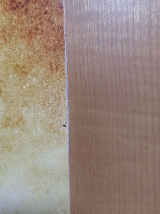 映画 るろうに剣心 レッドカーペット イベント時使用パネル - メルカリ