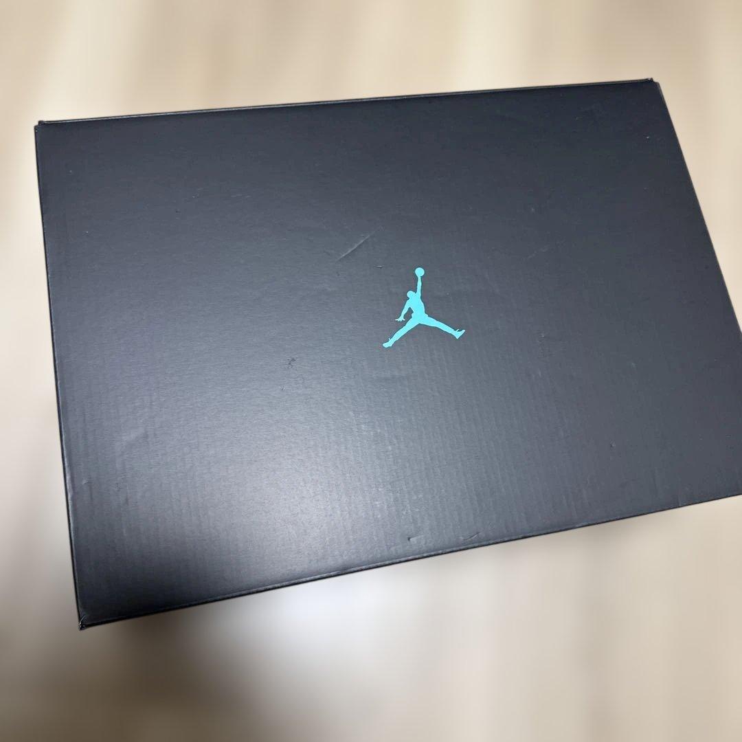 靴 Nike Air Jordan 11 Retro \"Gamma\" (2025)