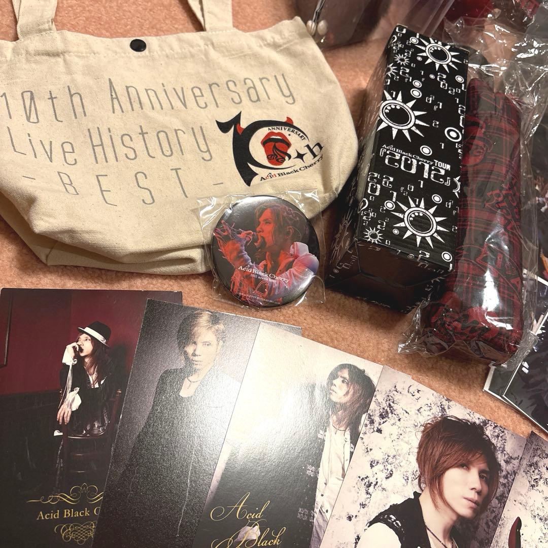 【激レア早い者勝ち】AcidBlackcherryまとめ売り♡